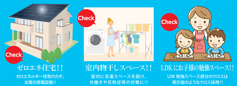 見どころポイント