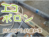 防シロアリ・防腐対策の「エコボロン」</