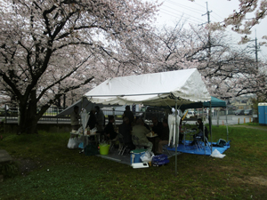 田原建設　お花見