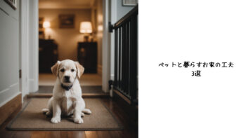 ペットと暮らすお家の工夫3選