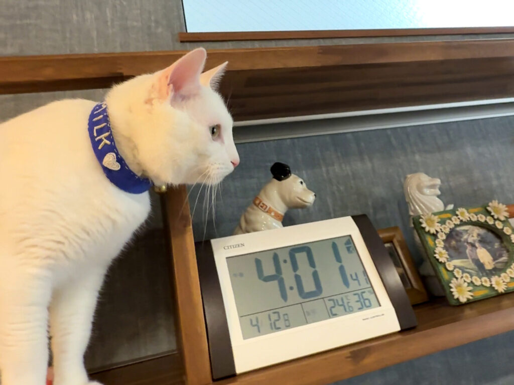 デザインや内装でこだわったこと